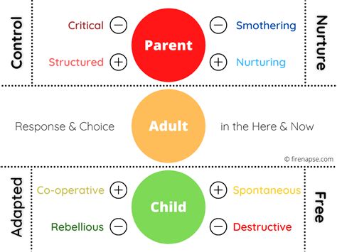 Transactional analysis and politics: A critical review 